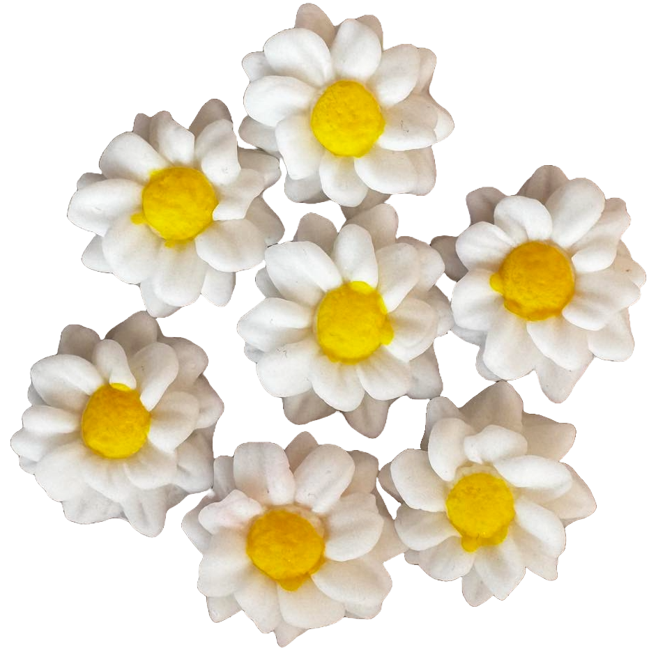 Lot de 7 décorations comestibles en pâte à sucre, Fleurs blanches